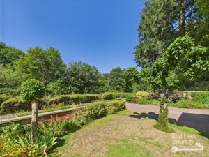 Front Garden- click for photo gallery